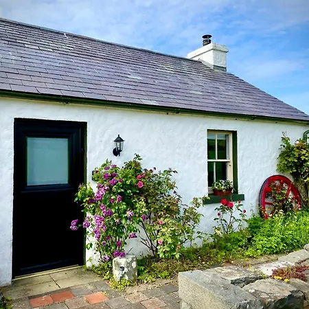 Dunnaglea Cottage, Ballintoy Extérieur photo